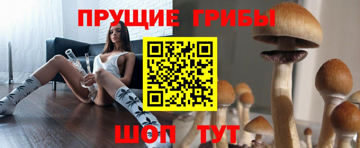 Химки  Псилоцибиновые грибы прущие грибы  Галлюциногенные грибы Psilocybe  Вход с VPN 